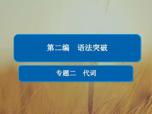 2019版高考英语语法专题突破全国全解析课件：专题2 代词 精品