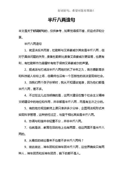 半斤八两造句