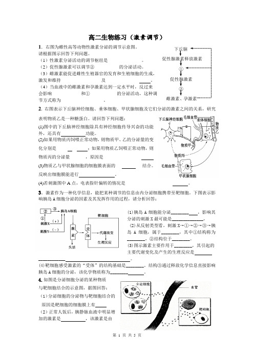 高二生物练习(激素调节)