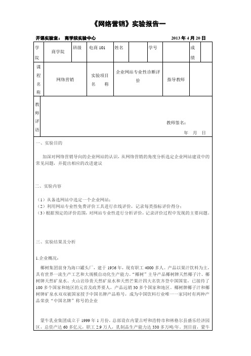 企业网站专业性诊断评价