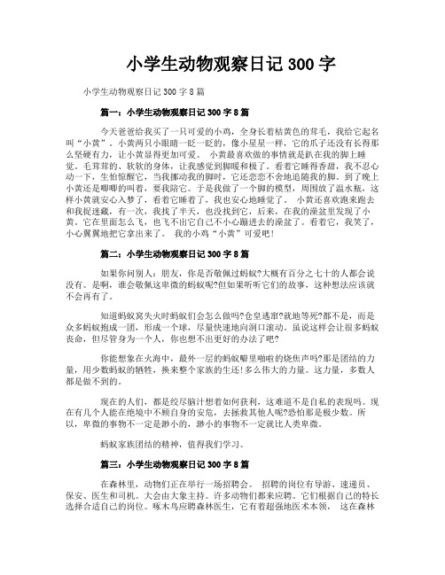 小学生动物观察日记300字