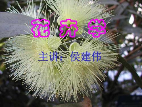 花 卉 学 (绪论)