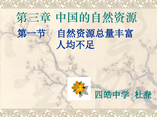 地理：人教版新课标八年级上册第三章第一节：自然资源总量丰富_人均不足(课件)