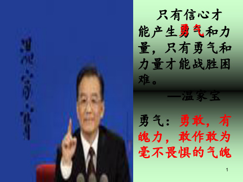 20花的勇气PPT课件