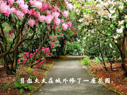 荒芜的花园