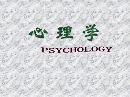 3第三章  行为动力