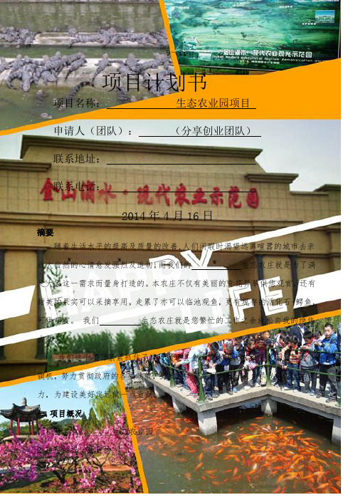 定远项目计划书