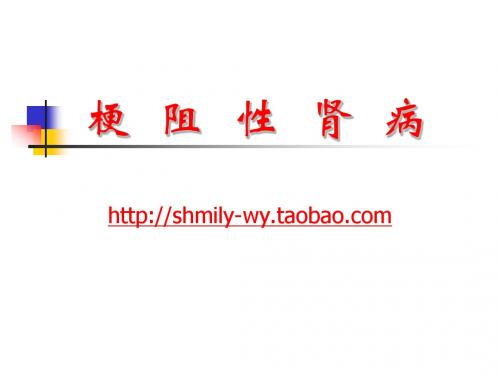 梗阻性肾病