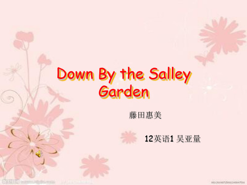 英文歌曲赏析