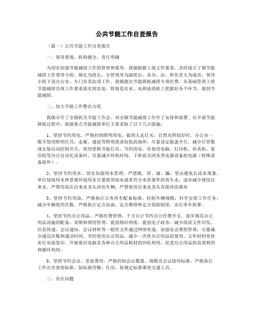 公共节能工作自查报告