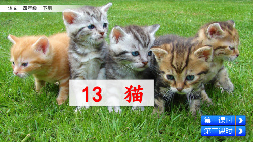 部编人教版四年级语文下册第13课《猫》公开课课件