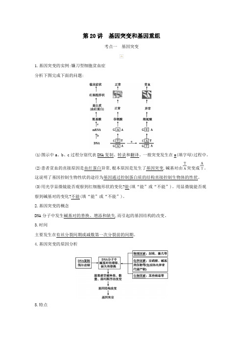 2021高考生物一轮复习第七单元第20讲基因突变和基因重组教案新人教版
