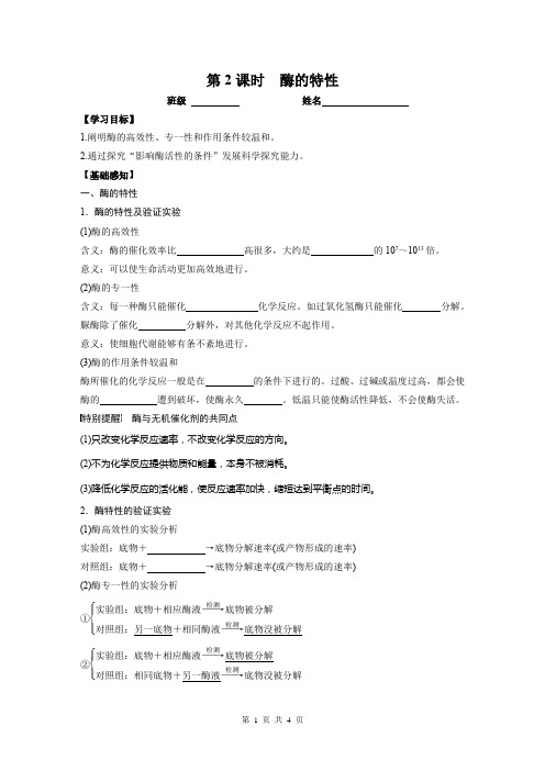 酶的特性