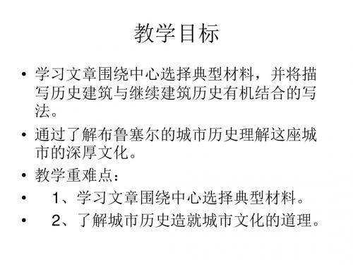 布鲁塞尔大广场PPT2 沪教版 (共18张PPT)