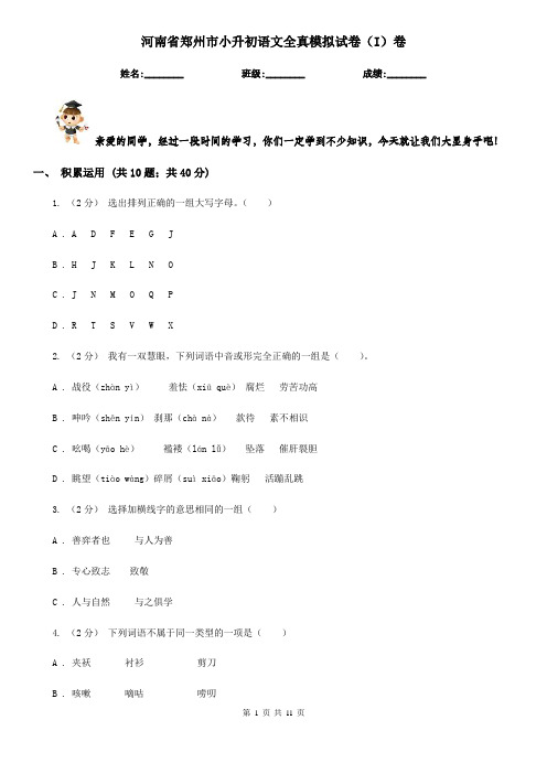 河南省郑州市小升初语文全真模拟试卷(I)卷