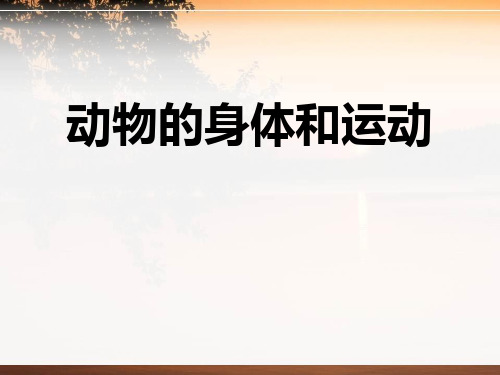 《动物的身体和运动》动物的生活PPT课件