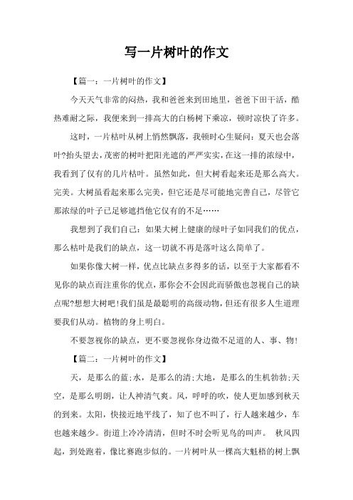 写一片树叶的作文