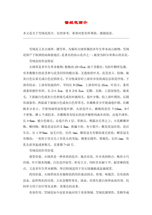 雪绒花简介