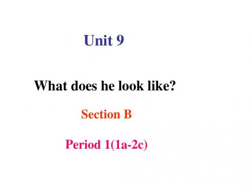 山东省沂南县张庄镇初级中学Unit 9 What does he look like Section B-1备课课件 人教新目标版七年级下