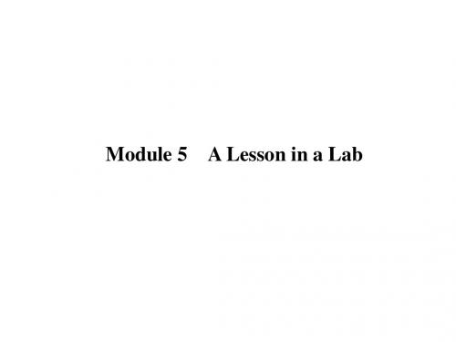 外研必修1 A lesson in a lab 课件