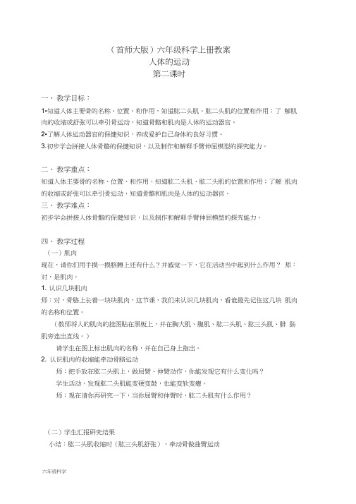 首师大小学科学六上《11.人体的运动》word教案(2)