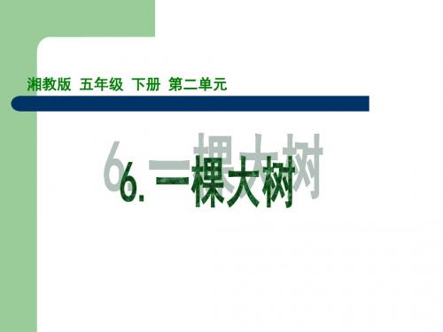 五年级上册一棵大树湘教版