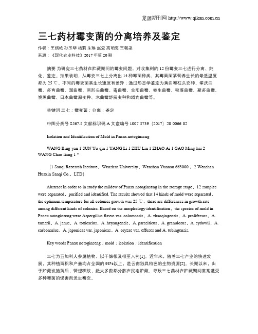 三七药材霉变菌的分离培养及鉴定