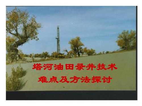 塔河油田录井技术难点及方法探讨