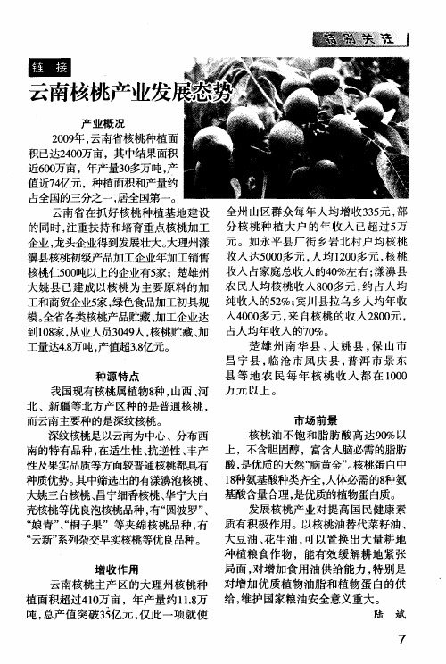 云南核桃产业发展态势