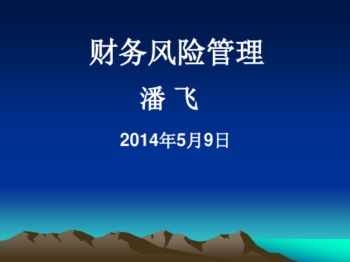 【风险管理】财务风险管理(PPT)