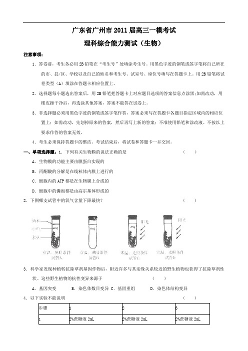 广东省广州市2011届高三一模考试(理综生物)