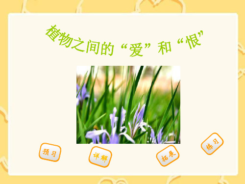(29植物之间的“爱”和“恨”1