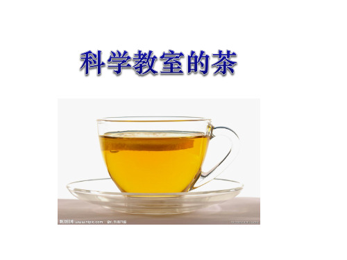 教科版六年级科学下册2.8 物质的变化与我们课件