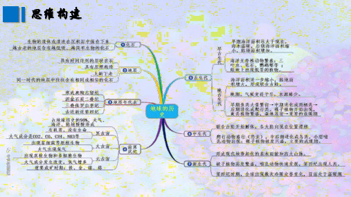 1.3 地球的历史 课件-人教版(2019)必修一地理(共33页)
