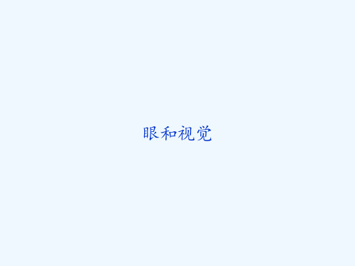 眼和视觉-PPT