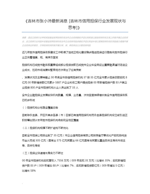 吉林市张小沛最新消息 [吉林市信用担保行业发展现状与思考]