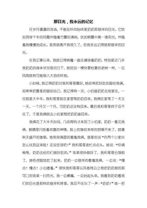 初三作文：那目光,我永远的记忆作文