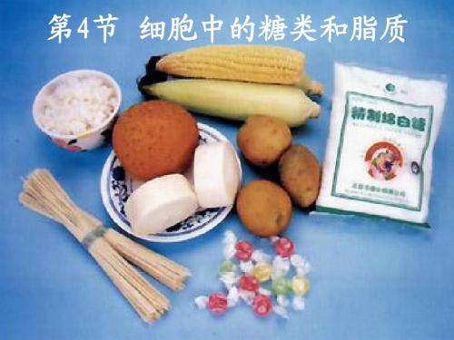 2.4细胞中的糖类和脂质课件