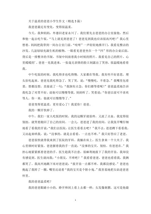 关于温柔的爸爸小学生作文(精选3篇最新)