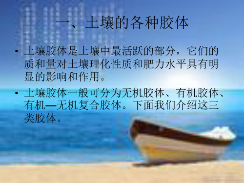 土壤胶体