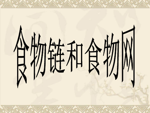 【初中生物】食物链和食物网PPT课件