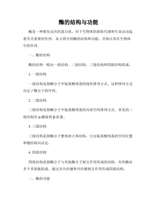 酶的结构与功能