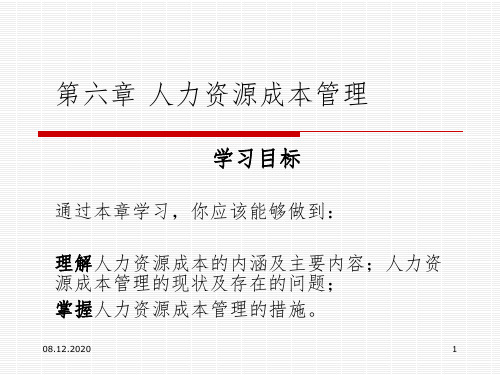 人力资源成本管理PPT课件
