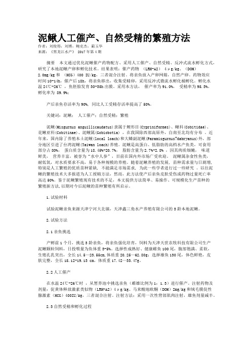 泥鳅人工催产、自然受精的繁殖方法