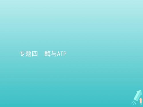 高考生物一轮复习 专题四 酶与ATP课件