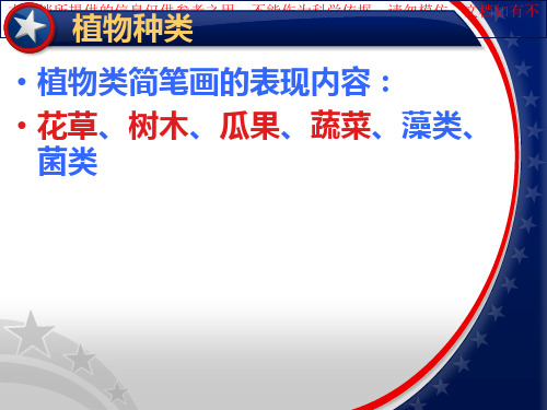 植物简笔画的表现内容专业知识讲座