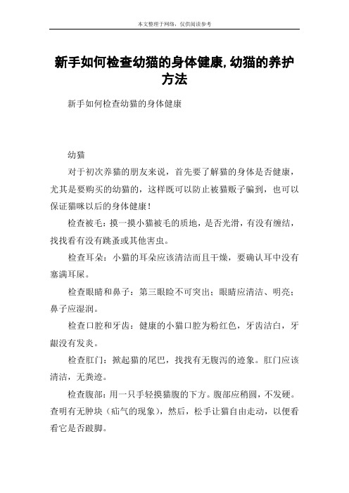 新手如何检查幼猫的身体健康,幼猫的养护方法