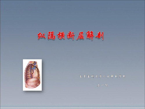 09纵隔横断层解剖