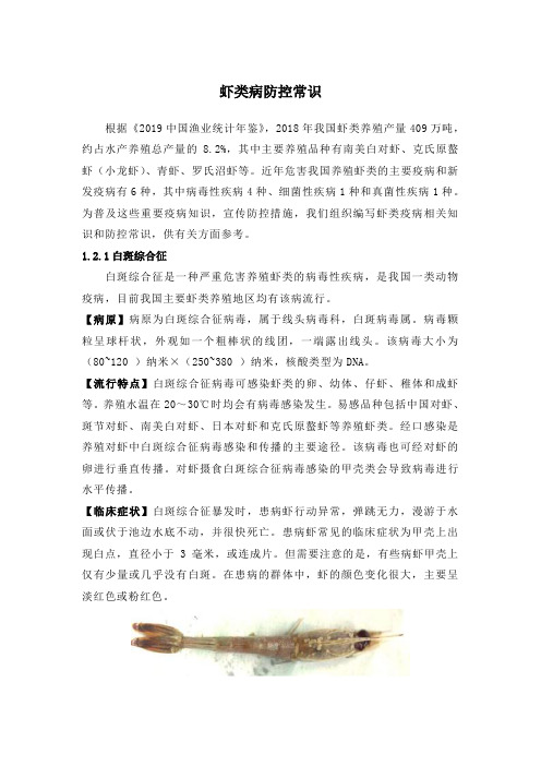 常见虾病防治方法
