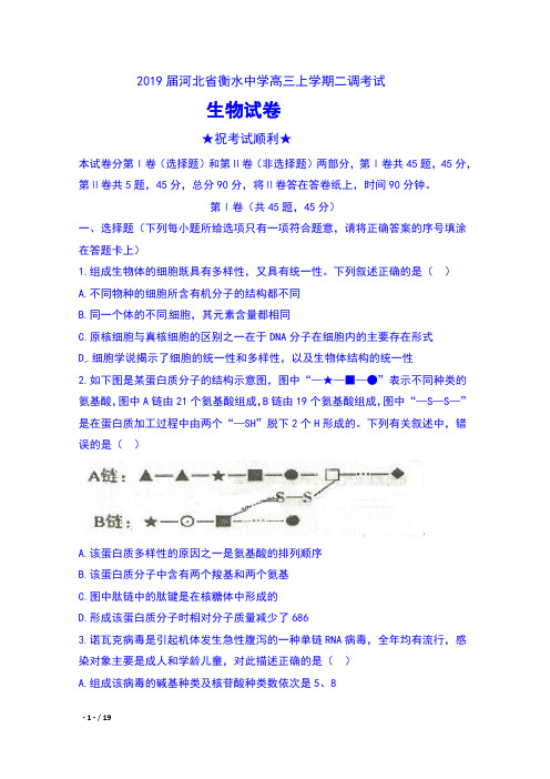 2019届河北省衡水中学高三上学期二调考试生物试卷及答案
